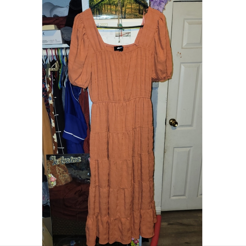 Alice Blue Large Pink,light orange